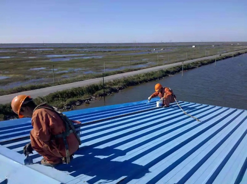 无棣彩钢瓦屋面防腐翻新